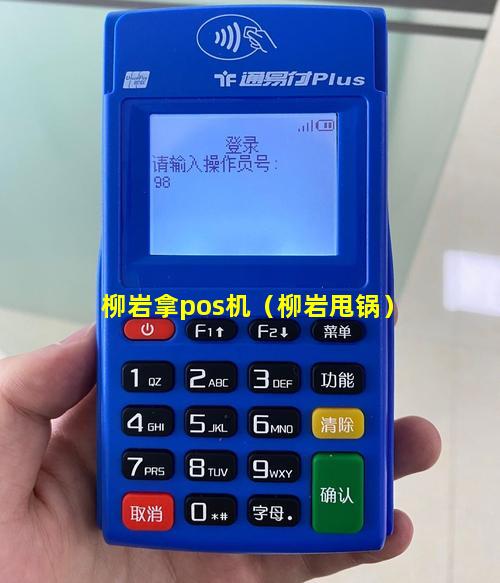 柳岩拿pos机（柳岩甩锅）